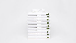 toda a coleção de camisa polo Lacoste