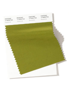 amostra de cor pantone