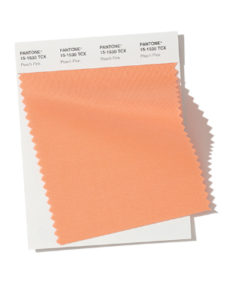 amostra de cor pantone