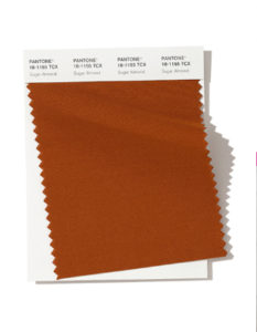 amostra de cor pantone